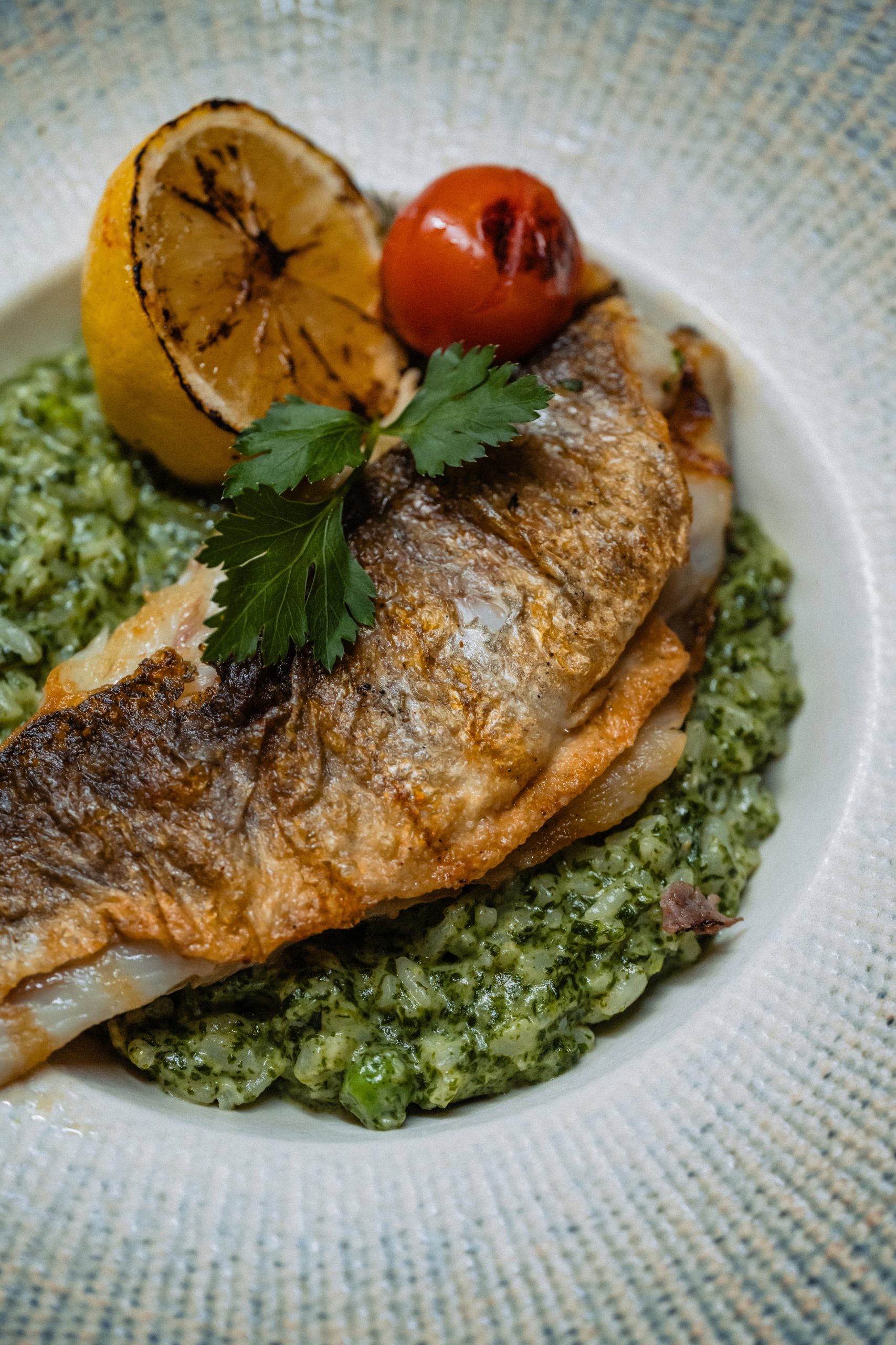Pește Grădina Povernei - Restaurant Victoriei, București
