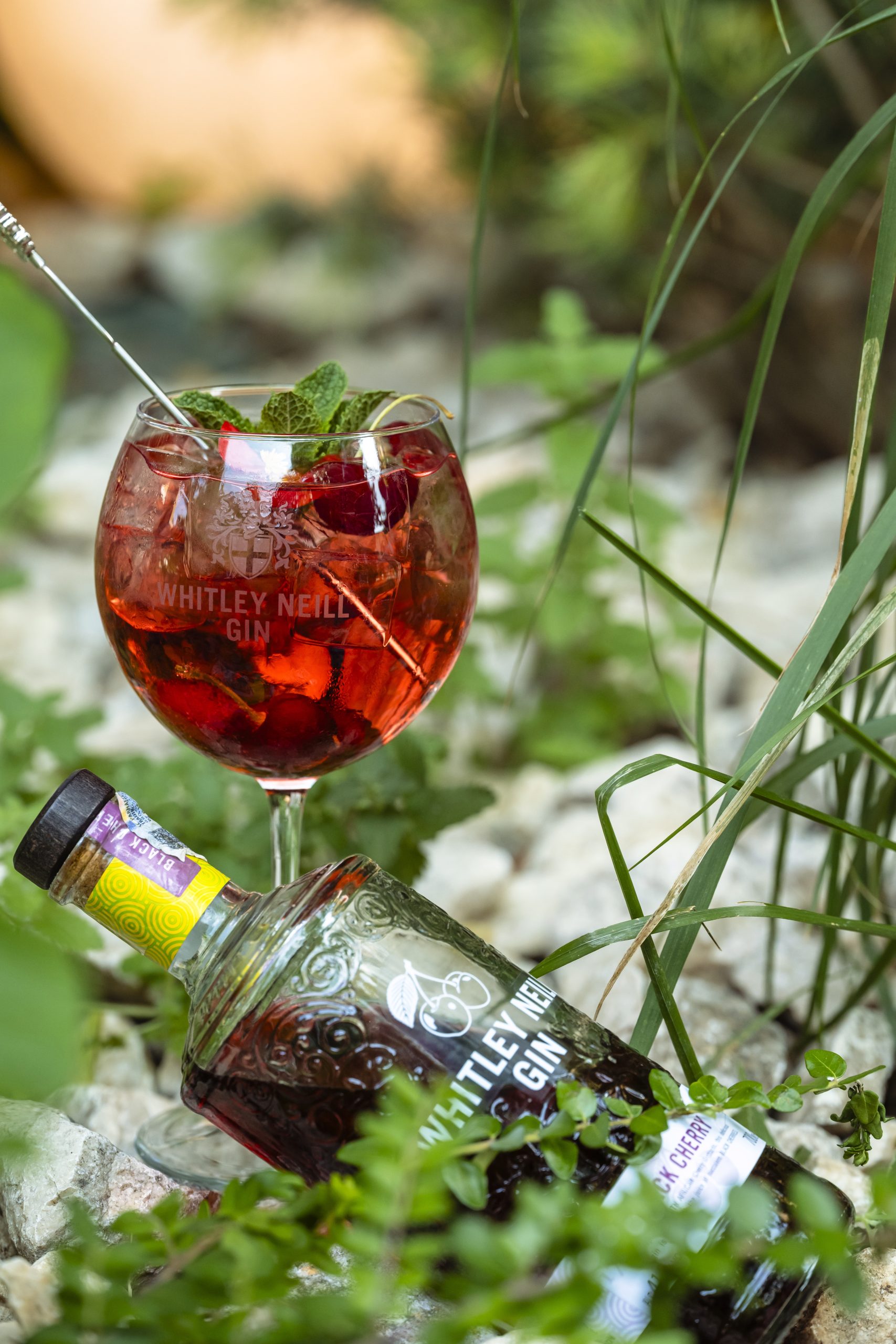 Gin Grădina Povernei - Restaurant Victoriei, București