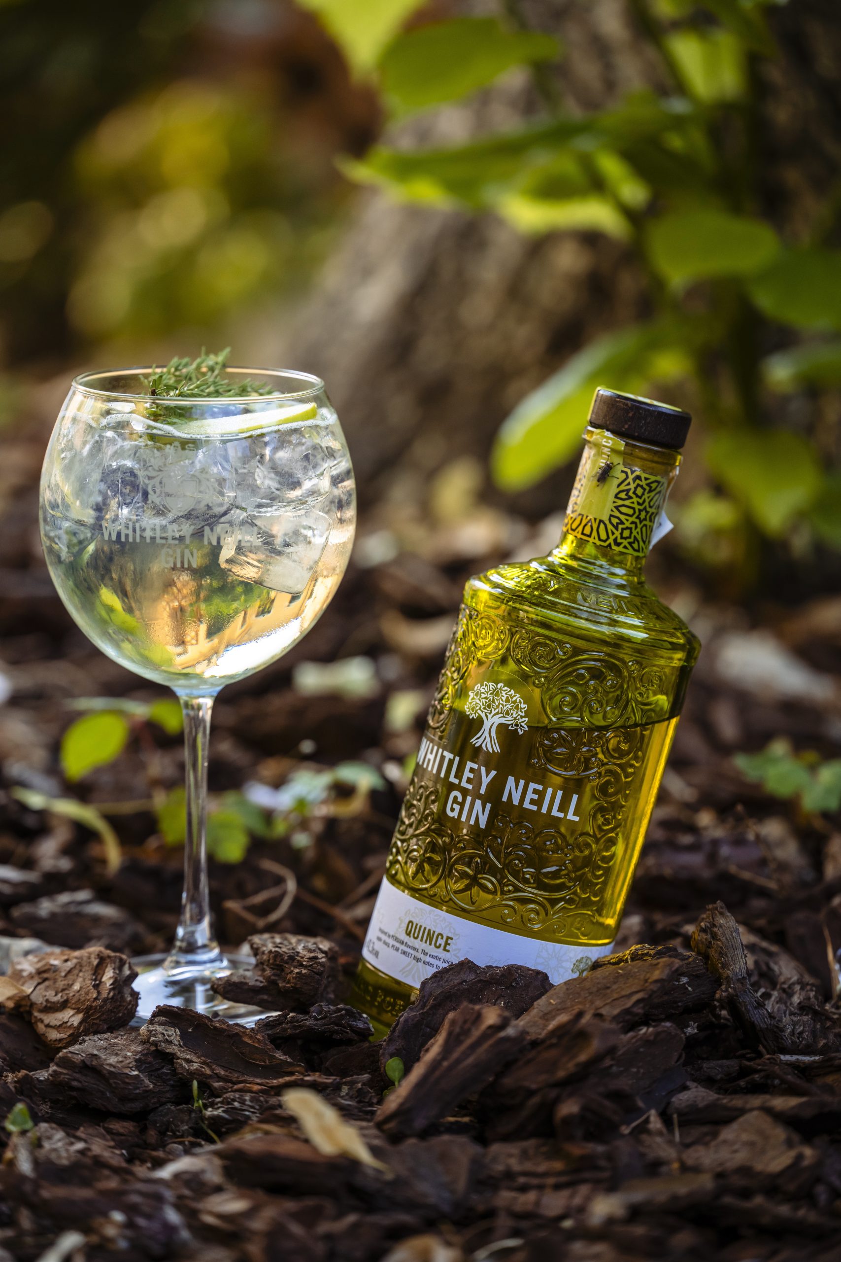 Gin Grădina Povernei - Restaurant Victoriei, București